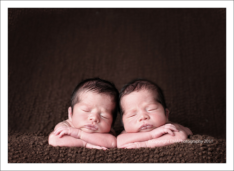 Twin Newborn portrait by EMA PHOTOGRAPHY