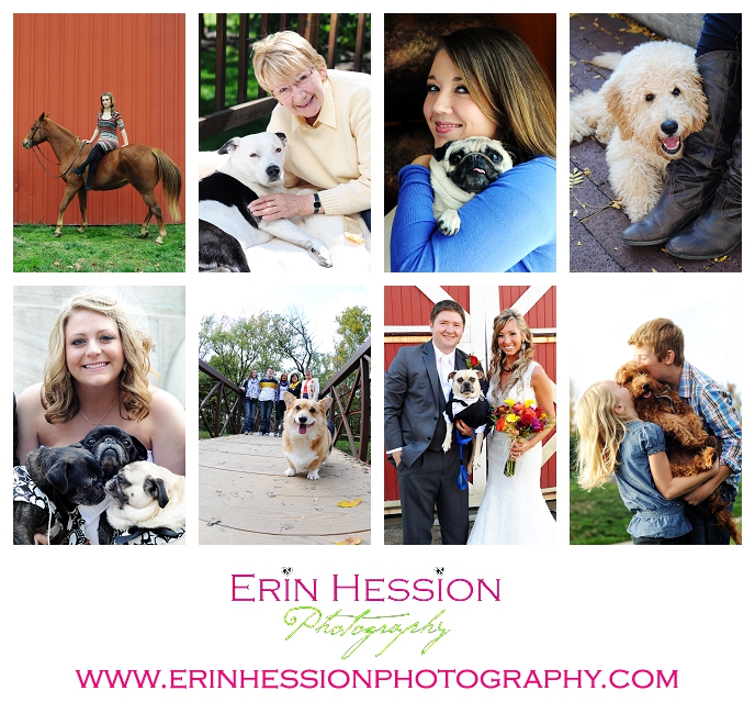 Pet Photography by Erin Hession