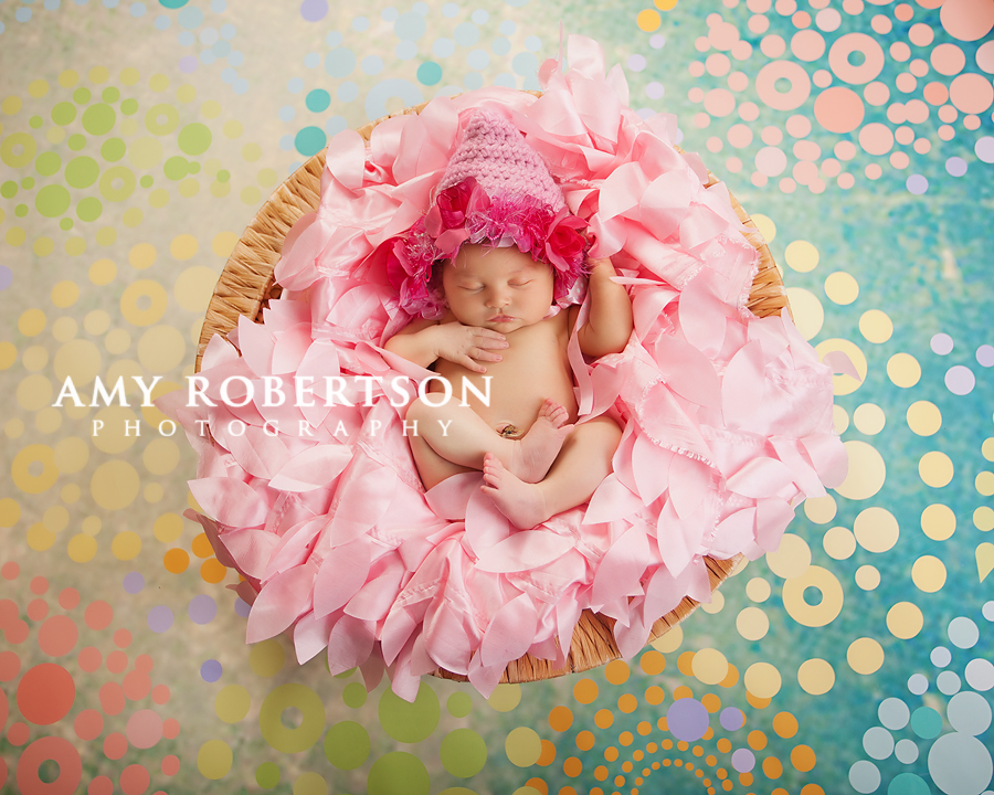 Portrait of newborn in a basket by Amy Robertson Photography