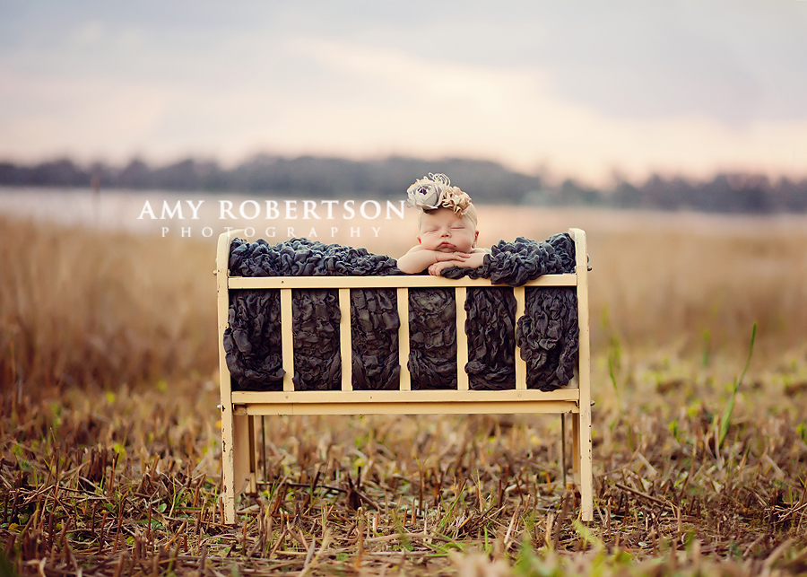 Portrait of newborn outdoor in a cradle by Amy Robertson Photography