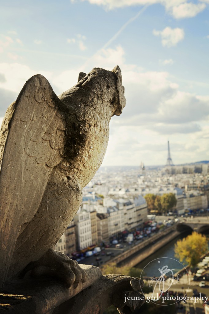 Portrait of bird overlooking city by Jeune Girl