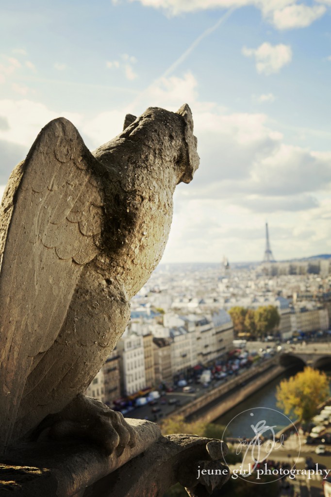 Portrait of bird overlooking city by Jeune Girl