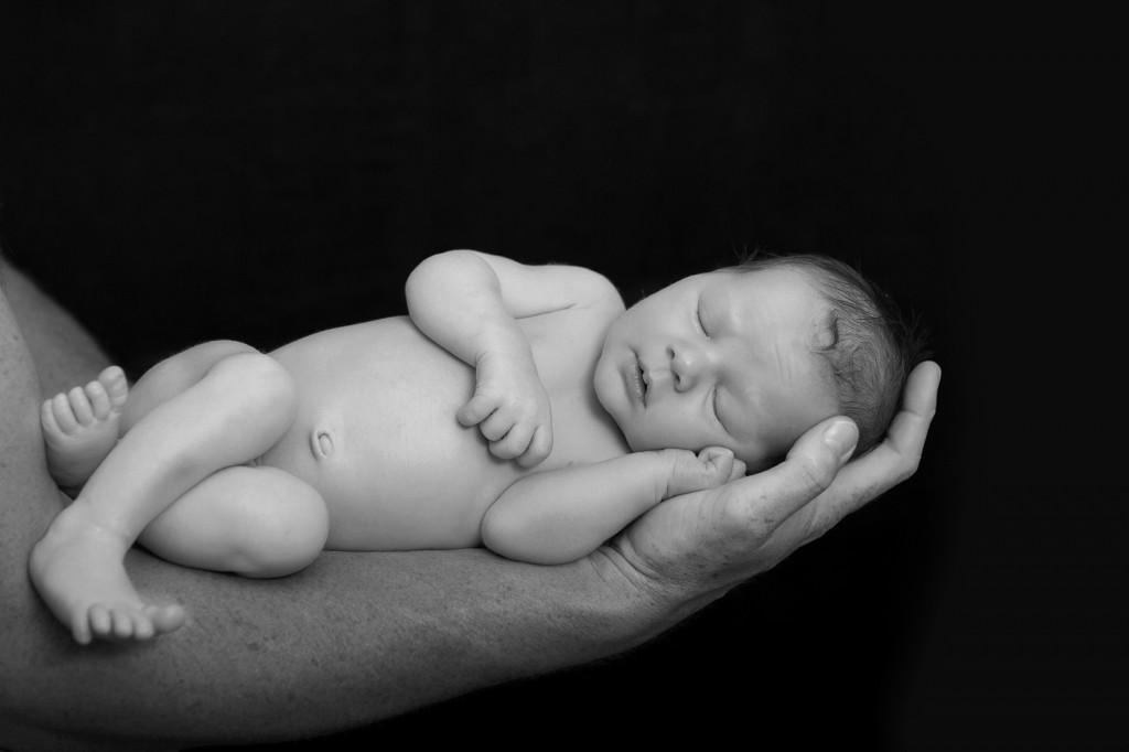 Portrait of newborn laying in father's hand by Anja McDonald