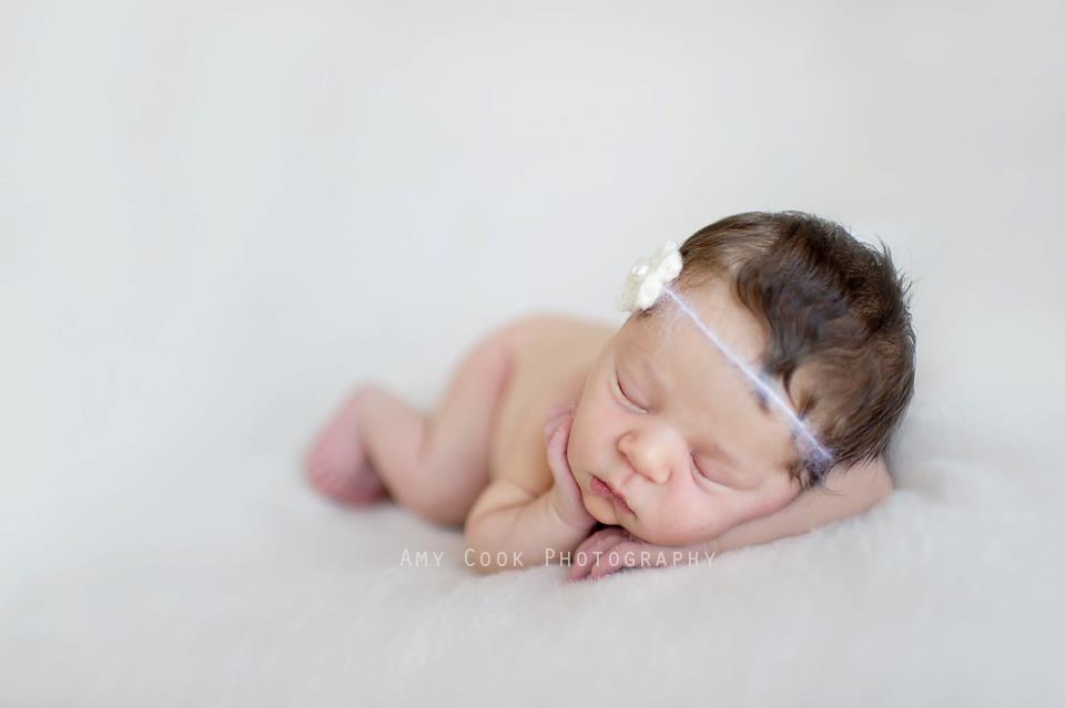 Portrait of newborn by Amy Cook Photography