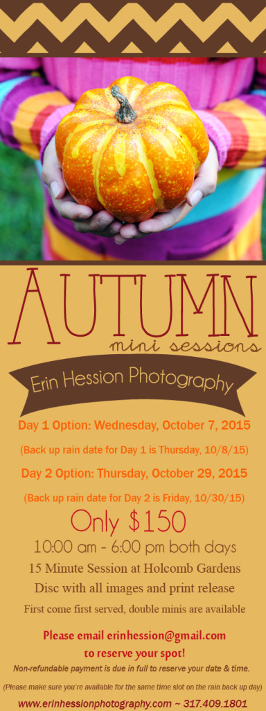 Fall Mini Sessions 2015