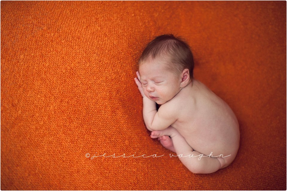 newborn photography