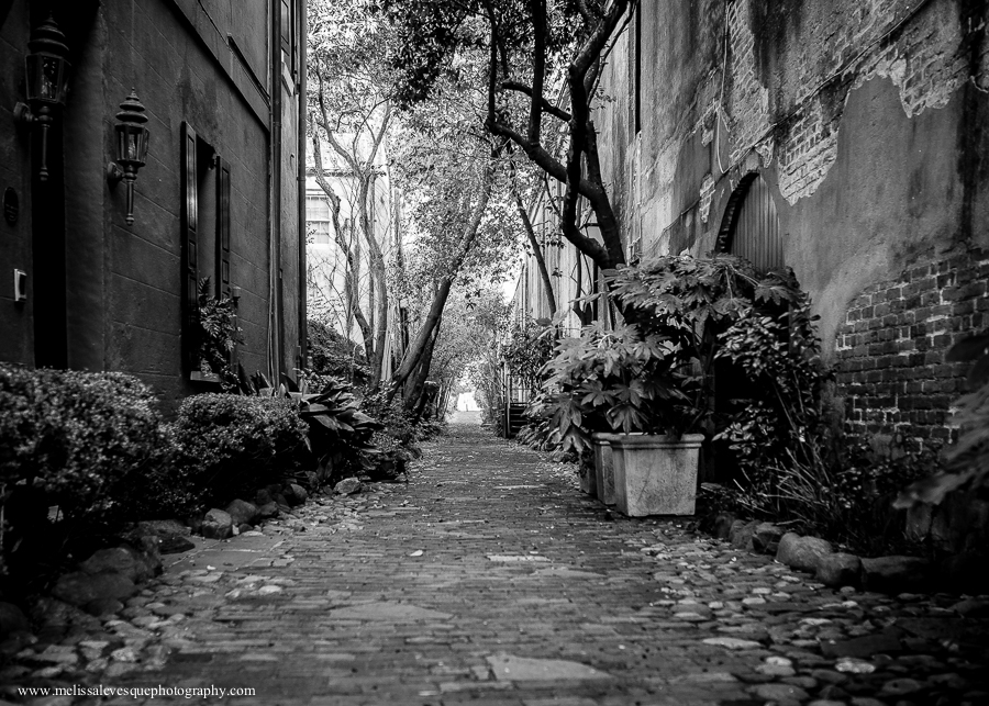 Duelers Alley_07_900