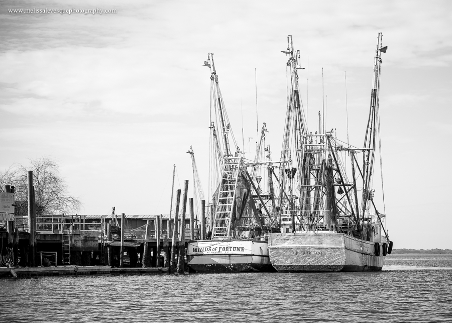 Shem Creek_03_900