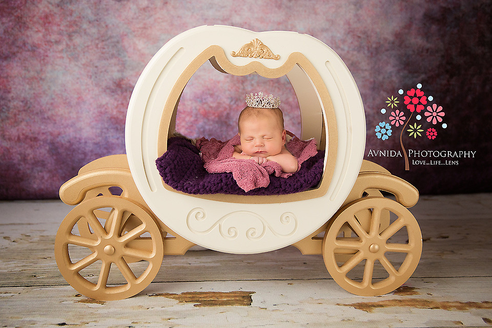 Avnida Photography - Newborn Photographer NJ - 17