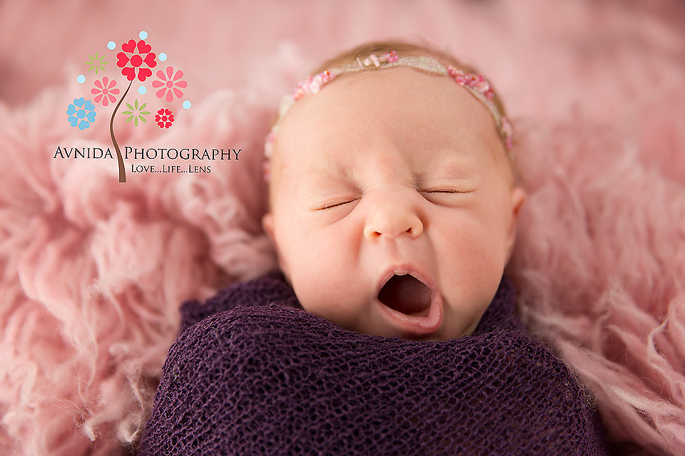 Avnida Photography - Newborn Photographer NJ - 20