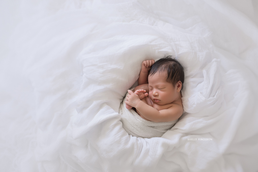 curled up newborn image photography