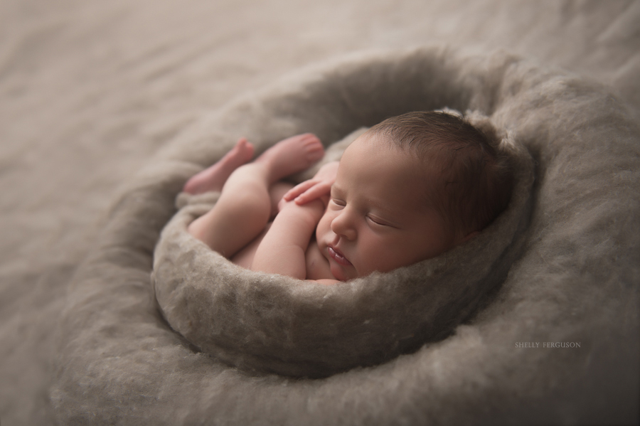 newborn photography