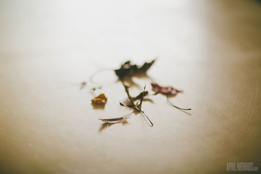 dead leaves and feathers picked by kids photo by April Nienhuis