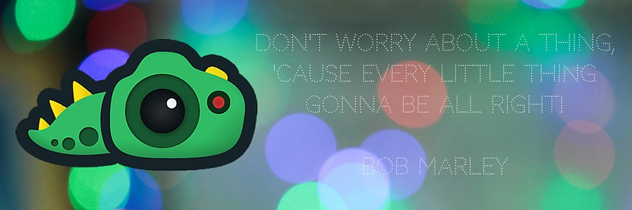 baby, don't worryabout a thingevery little thing's gonna be allrightBob Marley