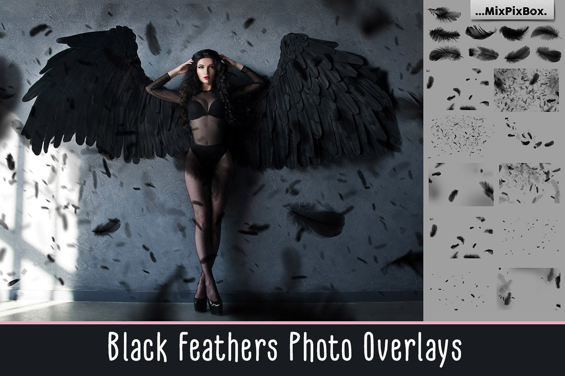 black feather overlays