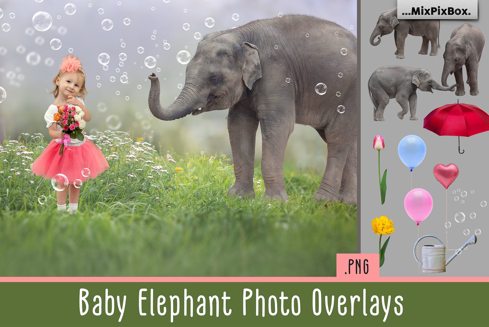 elephant overlays transparent