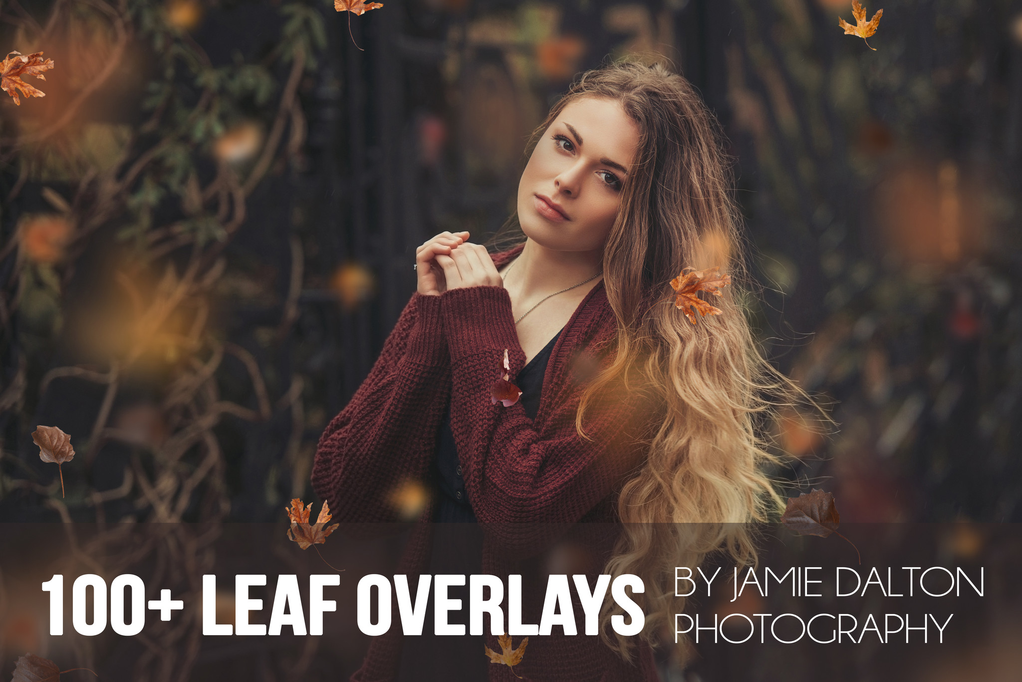 leaf overlays