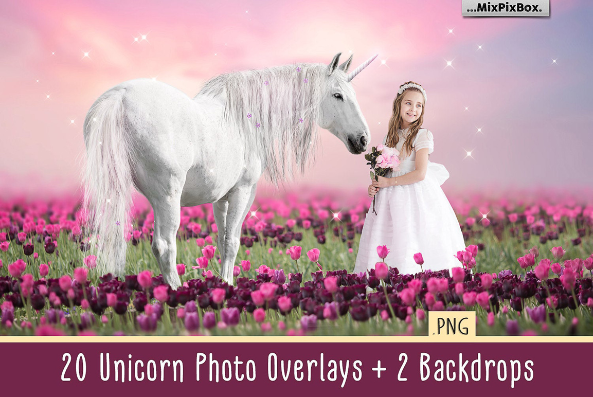 unicorn overlays png