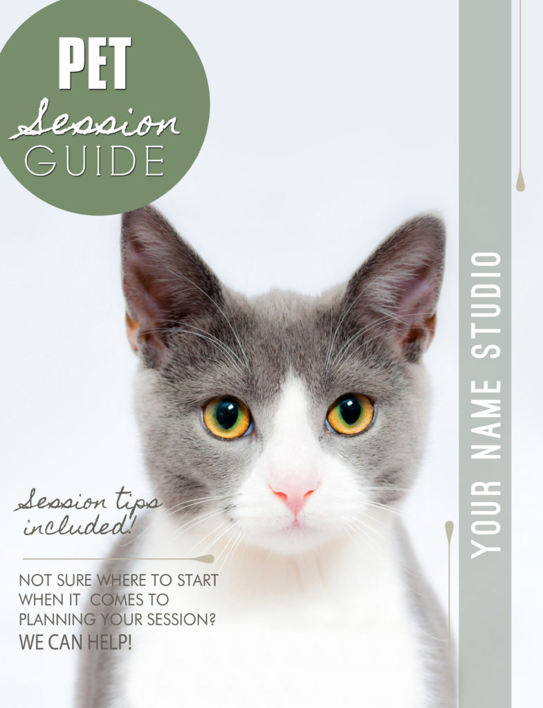 pet photography session welcome packet