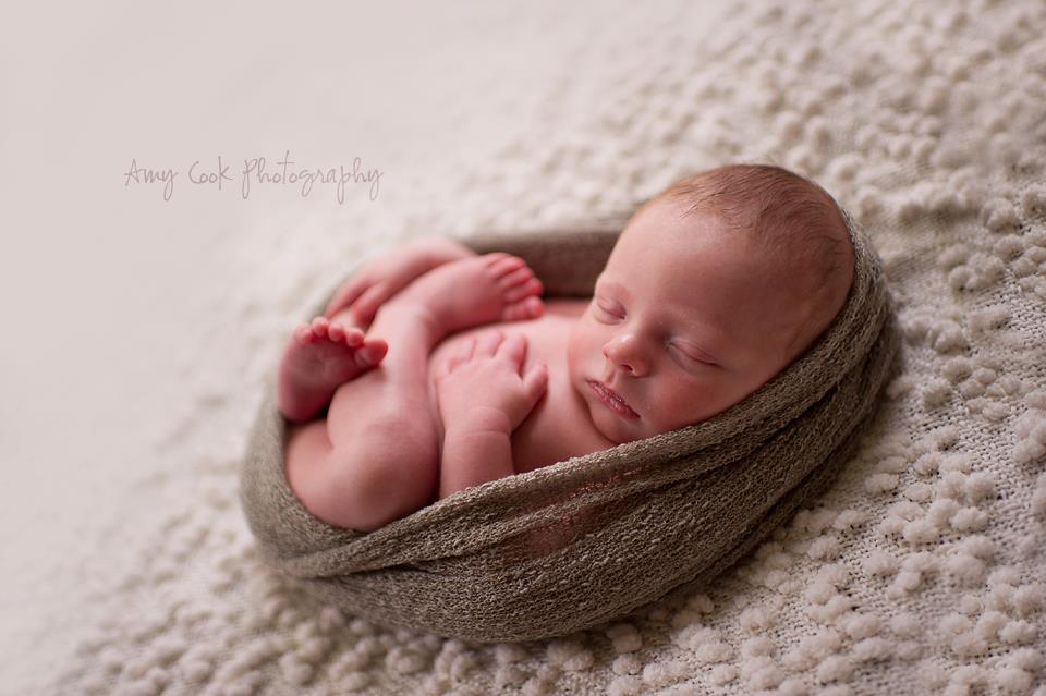 Portrait of newborn in wrap by Amy Cook Photography